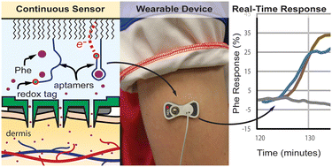 Graphical abstract: Continuous molecular monitoring of human dermal interstitial fluid with microneedle-enabled electrochemical aptamer sensors