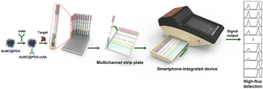 Graphical abstract: High-flux smartphone-integrated lateral flow assay based on chrysanthemum-like Au@polydopamine for sensitive detection of enrofloxacin in milk