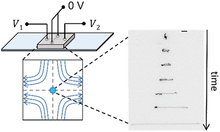 Graphical abstract: Automated electrokinetic stretcher for manipulating nanomaterials