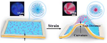 Graphical abstract: Strain-induced recognition of molecular and chirality in cholesteric liquid crystal droplets for distance and curvature sensing