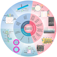 Graphical abstract: Optofluidic lasers and their applications in biochemical sensing