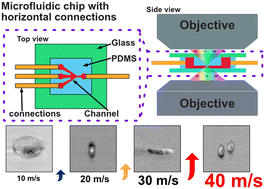 Graphical abstract: An optimized PDMS microfluidic device for ultra-fast and high-throughput imaging flow cytometry