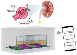 Graphical abstract: Smartphone-based portable photoelectrochemical biosensing system for point-of-care detection of urine creatinine and albumin
