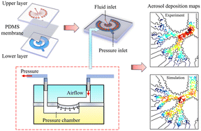Graphical abstract: Design of a multilayer lung chip with multigenerational alveolar ducts to investigate the inhaled particle deposition