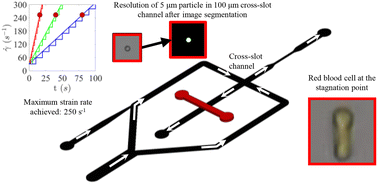 Graphical abstract: Characterisation of hydrodynamic trapping in microfluidic cross-slot devices for high strain rate applications