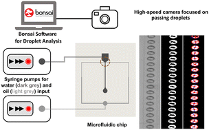 Graphical abstract: Open-source tool for real-time and automated analysis of droplet-based microfluidic