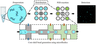 Graphical abstract: Precise, wide field, and low-cost imaging and analysis of core–shell beads for digital polymerase chain reaction