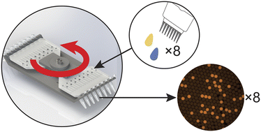 Graphical abstract: Interfacing centrifugal microfluidics with linear-oriented 8-tube strips and multichannel pipettes for increased throughput of digital assays