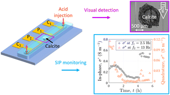Graphical abstract: A microfluidic chip for geoelectrical monitoring of critical zone processes
