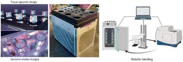 Graphical abstract: A new tissue-agnostic microfluidic device to model physiology and disease: the lattice platform