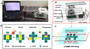 Graphical abstract: A low-temperature digital microfluidic system used for protein–protein interaction detection