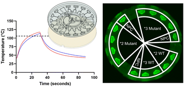 Graphical abstract: Rapid microfluidics prototyping through variotherm desktop injection molding for multiplex diagnostics