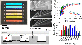 Graphical abstract: Continuous-flow macromolecular sieving in slanted nanofilter array: stochastic model and coupling effect of electrostatic and steric hindrance