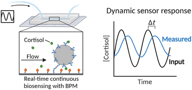 Graphical abstract: Real-time continuous monitoring of dynamic concentration profiles studied with biosensing by particle motion