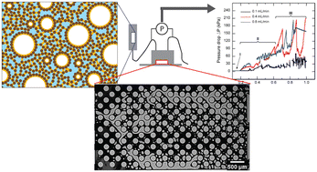 Graphical abstract: Bubble-particle dynamics in multiphase flow of capillary foams in a porous micromodel