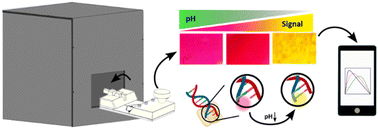 Graphical abstract: Additive manufacturing leveraged microfluidic setup for sample to answer colorimetric detection of pathogens