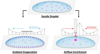 Graphical abstract: Sample preconcentration through airjet-induced liquid phase enrichment