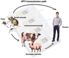 Graphical abstract: Micro- and nanosystems for the detection of hemorrhagic fever viruses