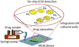 Graphical abstract: A magnetically controlled microfluidic device for concentration dependent in vitro testing of anticancer drug