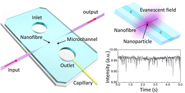 Graphical abstract: An optical nanofibre-enabled on-chip single-nanoparticle sensor
