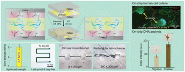 Graphical abstract: Chitosan: a green adhesive for surface functionalization and fabrication of thermoplastic biomedical microdevices