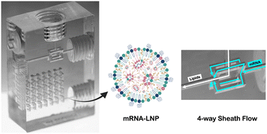 Graphical abstract: 3D-printed microfluidic device for high-throughput production of lipid nanoparticles incorporating SARS-CoV-2 spike protein mRNA