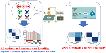 Graphical abstract: High-precision rapid testing of omicron SARS-CoV-2 variants in clinical samples using AI-nanopore