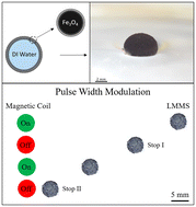 Graphical abstract: Dynamic behavior of floating magnetic liquid marbles under steady and pulse-width-modulated magnetic fields