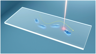 Graphical abstract: Light-manipulated binary droplet transport on a high-energy surface