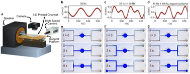 Graphical abstract: Vibrational manipulation of dry granular materials in lab-on-a-chip devices