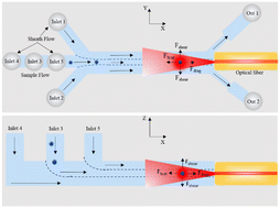 Graphical abstract: Opto-hydrodynamic tweezers