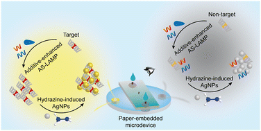 Graphical abstract: A paper-embedded thermoplastic microdevice integrating additive-enhanced allele-specific amplification and silver nanoparticle-based colorimetric detection for point-of-care testing