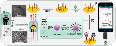 Graphical abstract: A smartphone-based electrochemical POCT for CEA based on signal amplification of Zr6MOFs