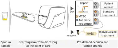 Graphical abstract: Two-stage tuberculosis diagnostics: combining centrifugal microfluidics to detect TB infection and Inh and Rif resistance at the point of care with subsequent antibiotic resistance profiling by targeted NGS