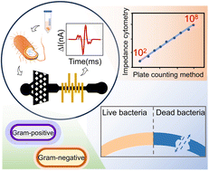 Graphical abstract: Label-free multidimensional bacterial characterization with an ultrawide detectable concentration range by microfluidic impedance cytometry