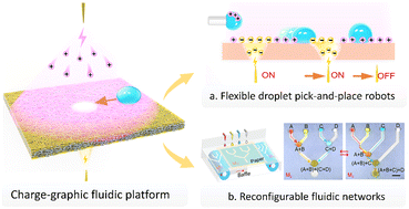 Graphical abstract: Multifunctional droplet handling on surface-charge-graphic-decorated porous papers