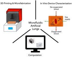 Graphical abstract: Toward 3D printed microfluidic artificial lungs for respiratory support