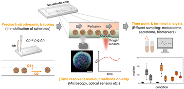 Graphical abstract: Microphysiological pancreas-on-chip platform with integrated sensors to model endocrine function and metabolism
