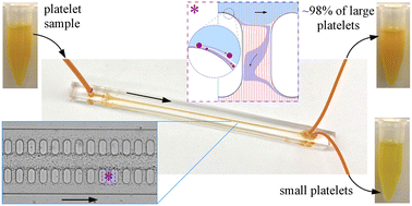 Graphical abstract: Separation of platelets by size in a microfluidic device based on controlled incremental filtration