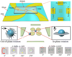 Graphical abstract: Three-dimensional rotation of deformable cells at a bipolar electrode array using a rotating electric field