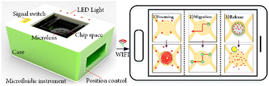 Graphical abstract: A portable microfluidic device for thermally controlled granular sample manipulation