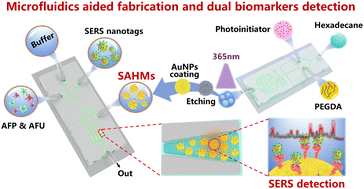 Graphical abstract: Microfluidics-aided fabrication of 3D micro-nano hierarchical SERS substrate for rapid detection of dual hepatocellular carcinoma biomarkers