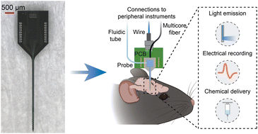 Graphical abstract: Development of wafer-scale multifunctional nanophotonic neural probes for brain activity mapping