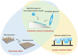 Graphical abstract: Design of highly robust super-liquid-repellent surfaces that can resist high-velocity impact of low-surface-tension liquids