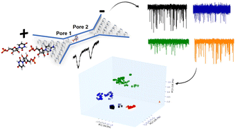 Graphical abstract: Detection and identification of single ribonucleotide monophosphates using a dual in-plane nanopore sensor made in a thermoplastic via replication