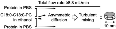 Graphical abstract: Microvortex-induced turbulent mixing for reconstitution of high-density lipoprotein-mimicking nanoparticles with aggregation-prone phosphatidylcholine