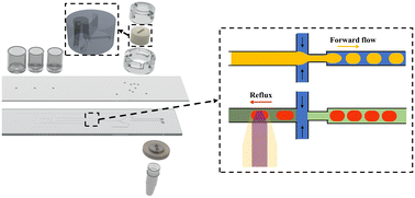 Graphical abstract: A ddPCR platform based on a microfluidic chip with a dual-function flow-focusing structure for sample-to-result DNA quantification analysis