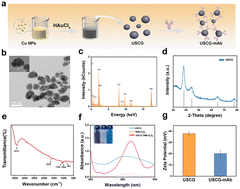 Graphical abstract: A cheaper substitute for HRP: ultra-small Cu–Au bimetallic enzyme mimics with infinitesimal steric hindrance to promote catalytic lateral flow immunodetection of clenbuterol