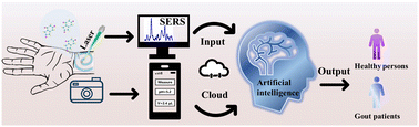 Graphical abstract: Wearable intelligent sweat platform for SERS-AI diagnosis of gout