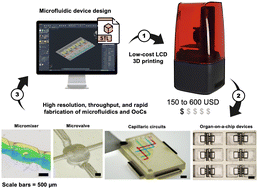 Graphical abstract: High-resolution low-cost LCD 3D printing for microfluidics and organ-on-a-chip devices